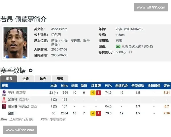 切尔西 6000 万镑敲定巴西锋线核心!佩德罗携 7 年长约赴美驰援世俱杯 切尔西 6000 万镑敲定巴西锋线核心!佩德罗携 7 年长约赴美驰援世俱杯